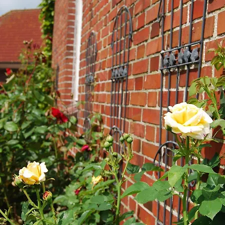 بيت للعطل Haeuschen In Utarp